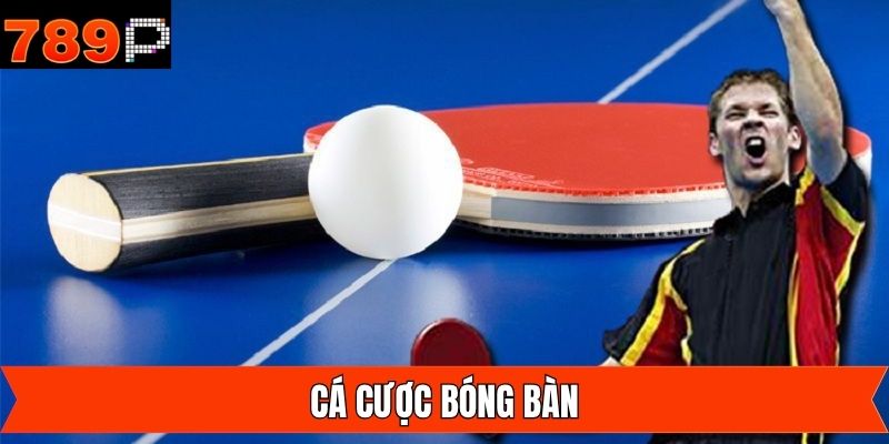 Cá Cược Bóng Bàn Đỉnh Cao, Tỷ Lệ Kèo Luôn Ưu Đãi Cùng 789P