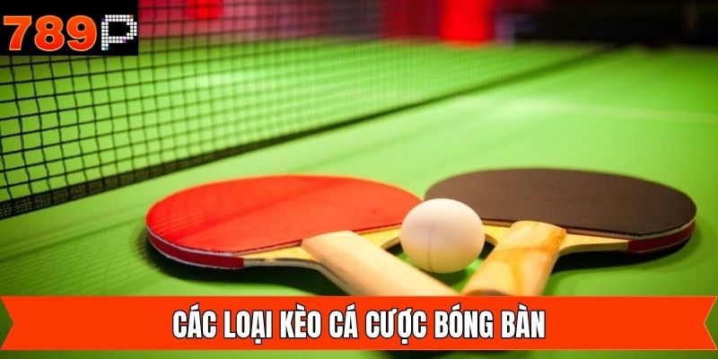 Tổng hợp những loại kèo được sử dụng phổ biến nhất