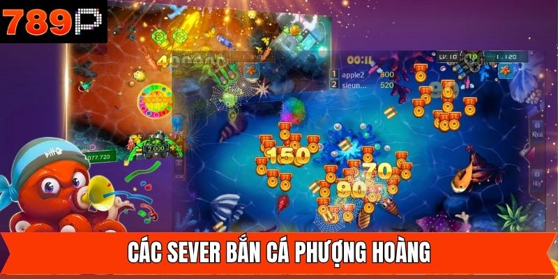 Sever vịnh cá mập tuyệt đẹp trong game