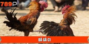 Đá Gà C1 - Giải Đấu Quy Tụ Chiến Kê Tài Năng Nhất Tại 789P
