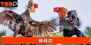 Đá Gà C2 - Đón Đầu Xu Hướng Về Trận Đấu Đỉnh Cao Cùng 789P