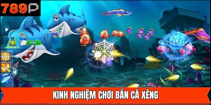 Bắn theo đàn để tối ưu khả năng thắng