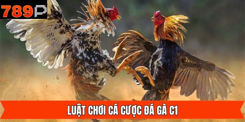 Luật chơi đá gà C1 cơ bản cho hội viên 789P