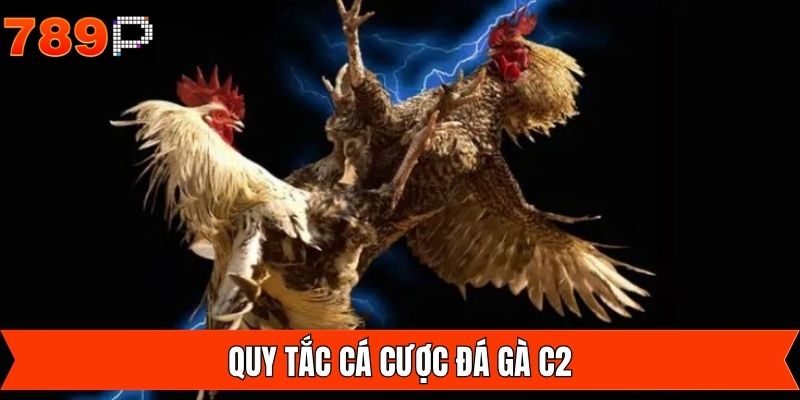 Nắm rõ về quy tắc khi tham gia đá gà C2 hiệu quả
