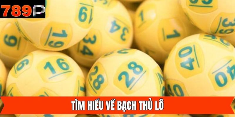 Tìm hiểu về bạch thủ lô mà người chơi cần nắm