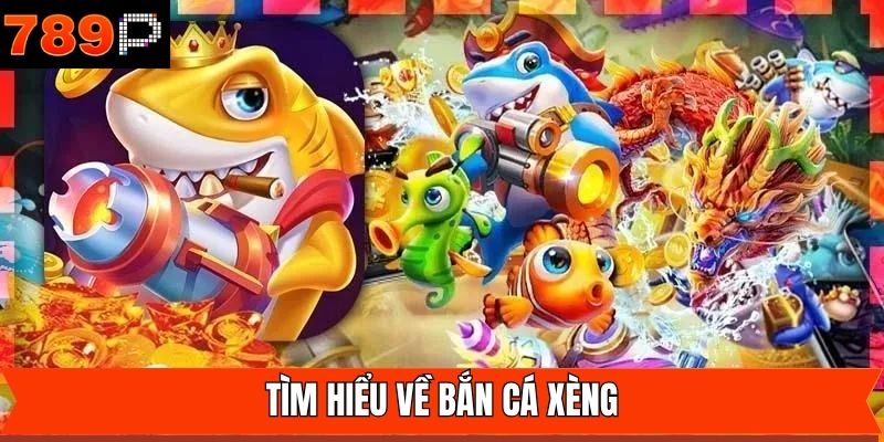 Thông tin cơ bản về siêu phẩm bắn cá xèng