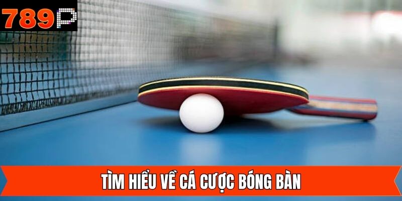 Đôi nét về cá cược bóng bàn tại 789P