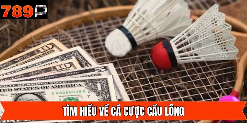 Khái quát điểm hấp dẫn về bộ môn đình đám