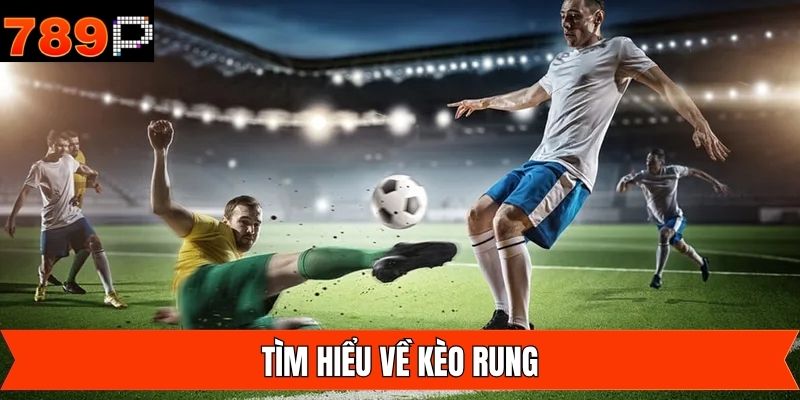 Giải thích đôi chút thông tin về kèo rung