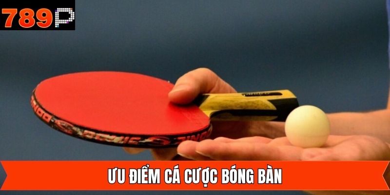 Trải nghiệm vô vàn giải đấu từ quốc nội đến quốc ngoại