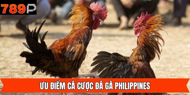 Luật chơi chuẩn mực, đảm bảo công bằng