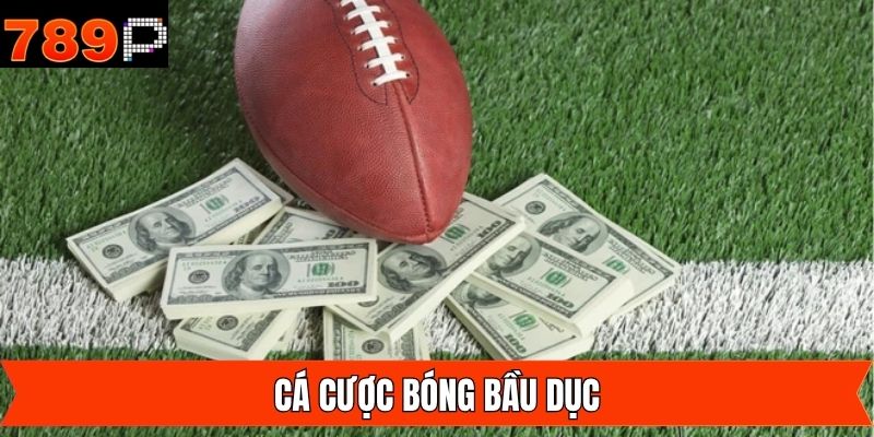 Cá Cược Bóng Bầu Dục - Hình Thức Đặt Kèo Hấp Dẫn Tại 789P