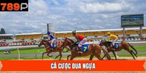 Cá Cược Đua Ngựa - Bật Mí Tuyệt Chiêu Đặt Cược Từ 789P