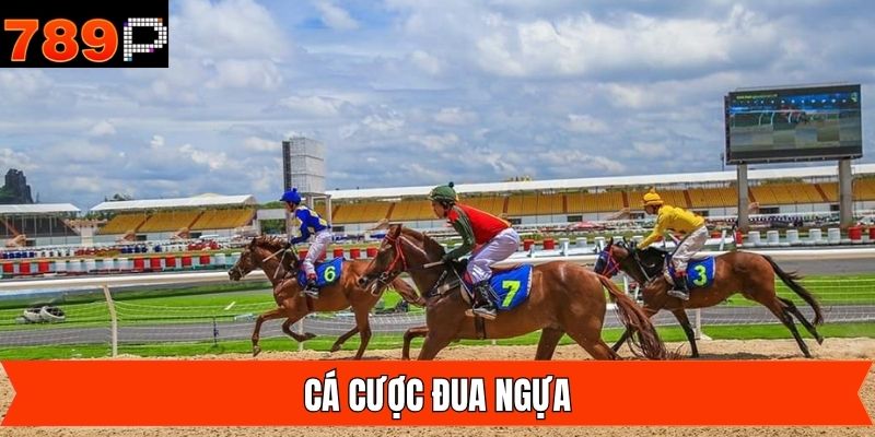 Cá Cược Đua Ngựa - Bật Mí Tuyệt Chiêu Đặt Cược Từ 789P