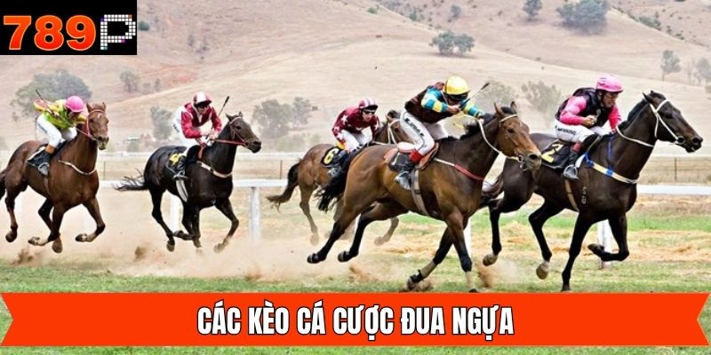 Cá cược đua ngựa vào con về nhì hoặc ba