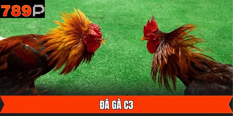 Đá Gà C3 – Cá Cược Ngay, Rinh Thưởng Khủng Trong Tầm Tay