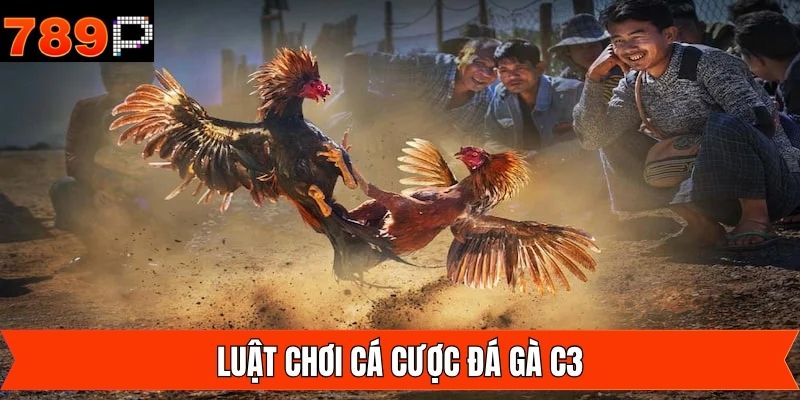 Nắm rõ luật chơi đá gà C3 tại địa chỉ 789P