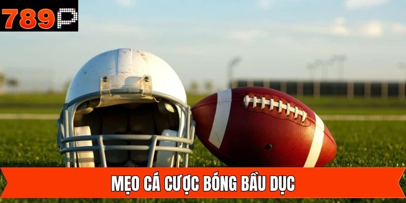 Cá cược bóng bầu dục hiệu quả với kinh nghiệm hay