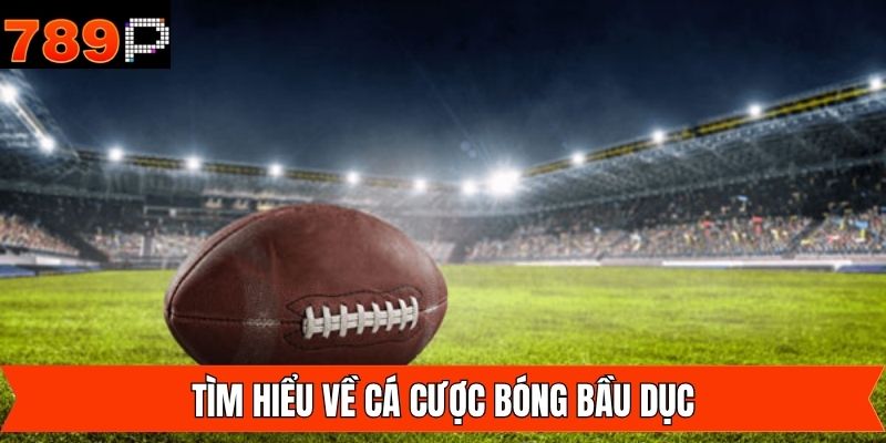 Đôi nét về trò chơi cá cược thể thao bầu dục độc đáo