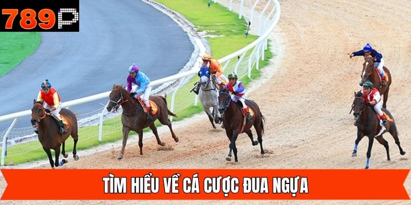 Giới thiệu chung về hình thức cá độ hot hit