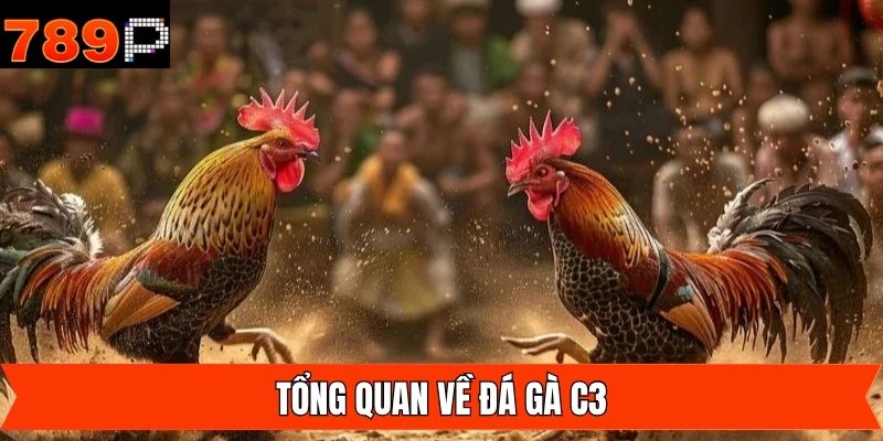 Nội dung tổng quan về thể loại chọi kê C3 tại nhà cái 789P