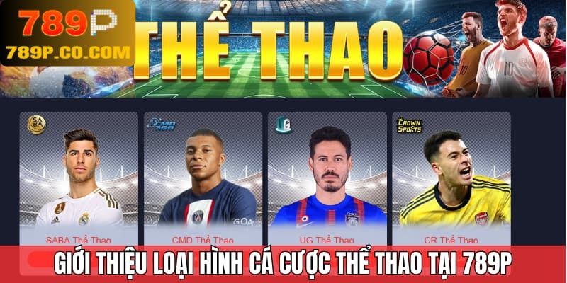 Giới thiệu loại hình cá cược thể thao tại 789P