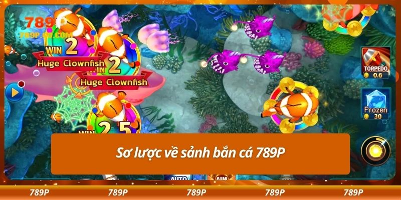 Sơ lược về sảnh bắn cá 789P