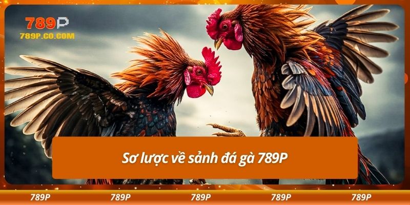 Sơ lược về sảnh đá gà 789P