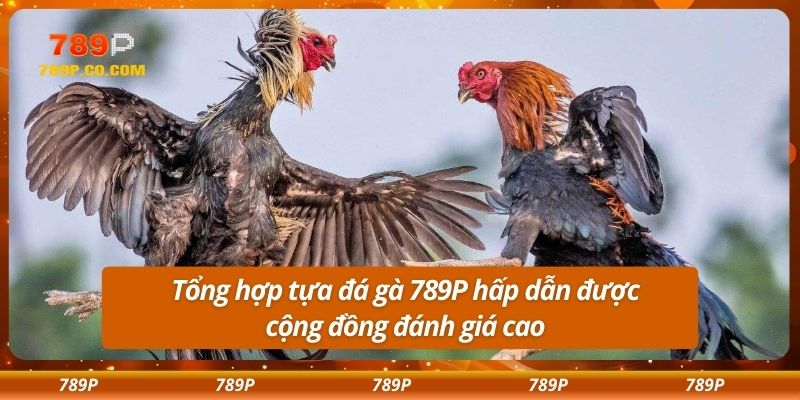 Tổng hợp tựa đá gà 789P hấp dẫn được cộng đồng đánh giá cao